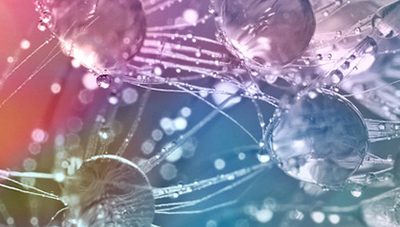 Advanced Breathing Techniques