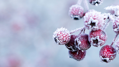 Taoist Seasons – Winter – Water Element