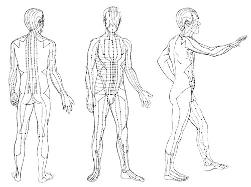 Qigong Meridians Chart