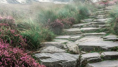 The Difference between Tai Chi & Qigong