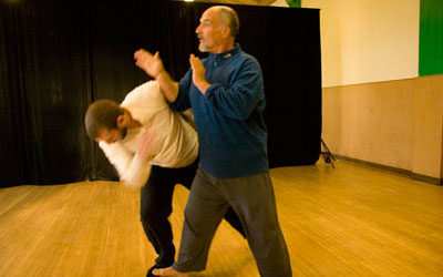 Qigong and Martial Arts Training