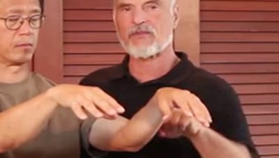 Energy Arts Training Circle Videos – Tai Chi and Healing