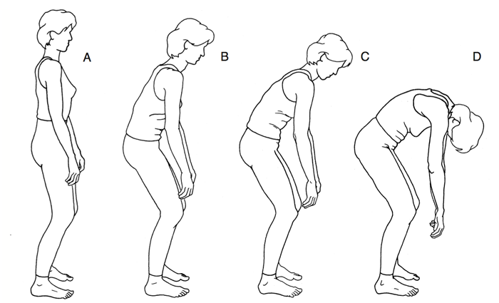 line drawing taoist spine stretch energy gates qigong online