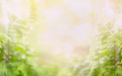 Journey Into Taoism – Conscious.tv Interview