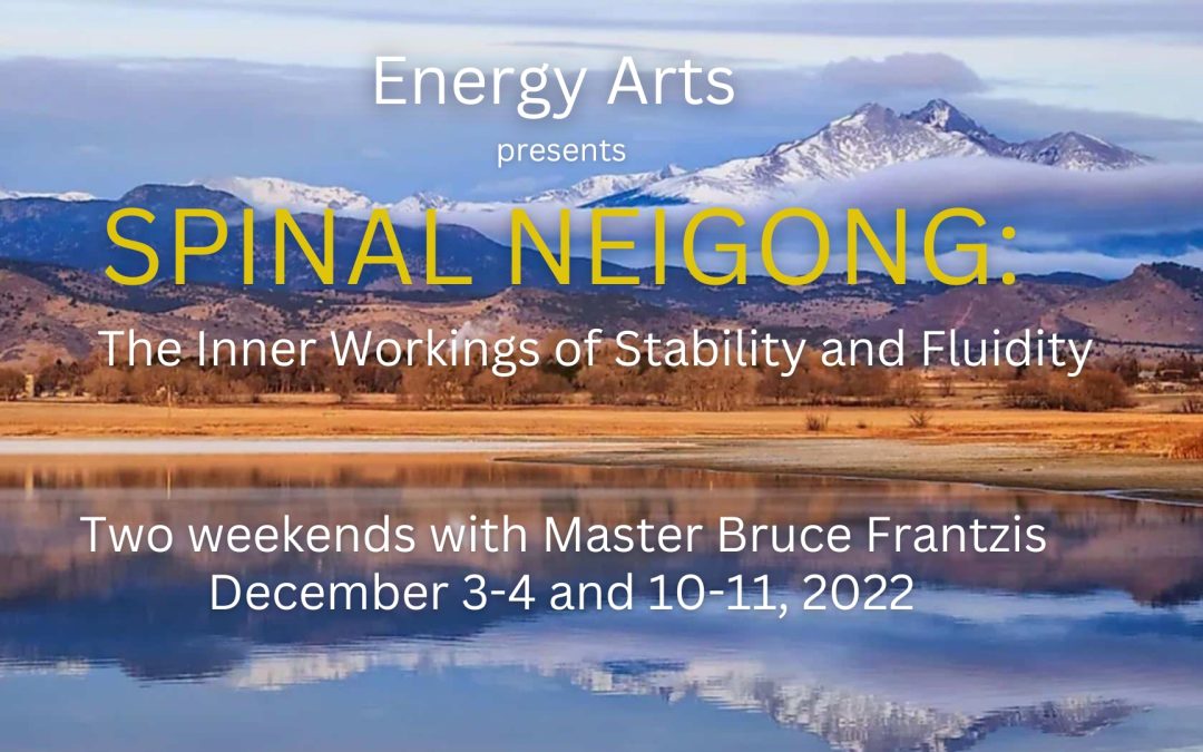 Spinal Neigong: The Inner Workings of Stability and Fluidity