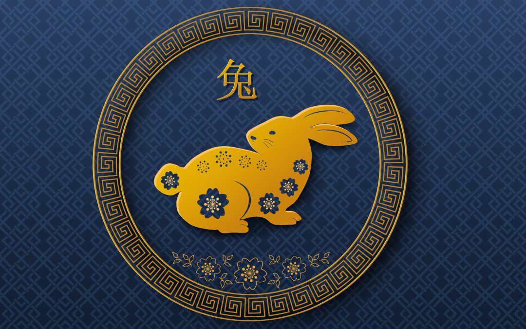 STATE OF THE DAO 2023: Year of the Water Rabbit