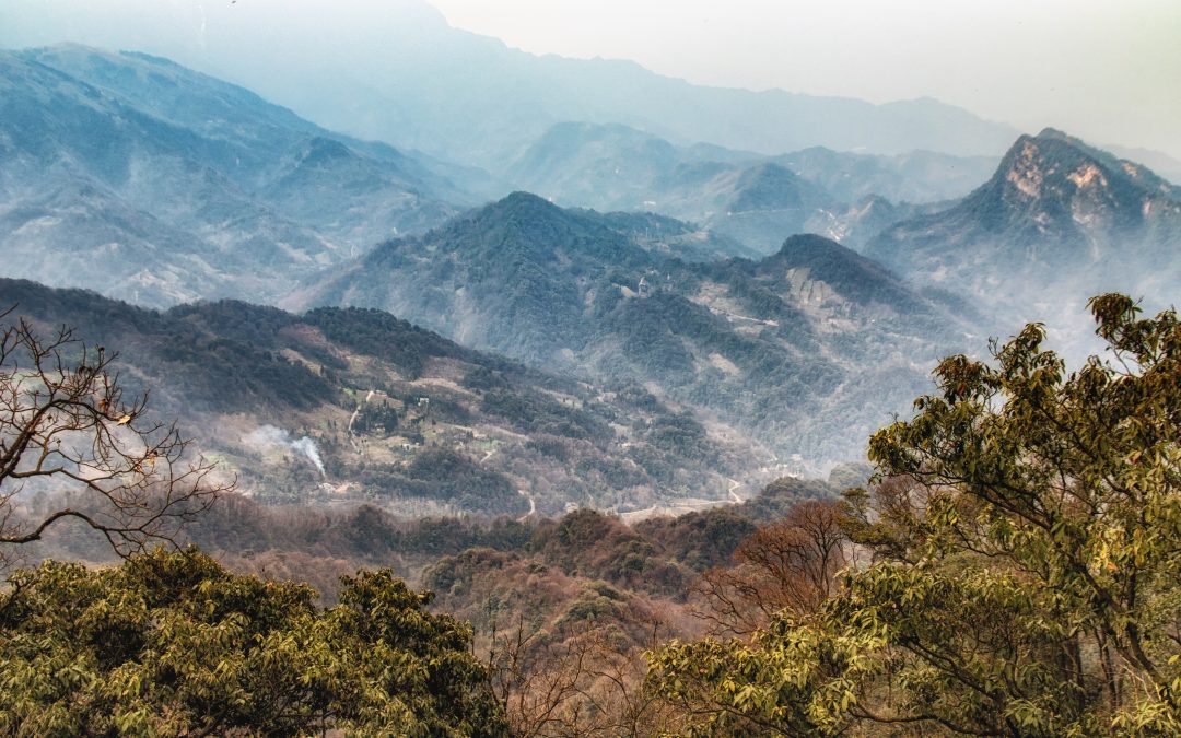 The Daoist Meditation Practices of the Daodejing