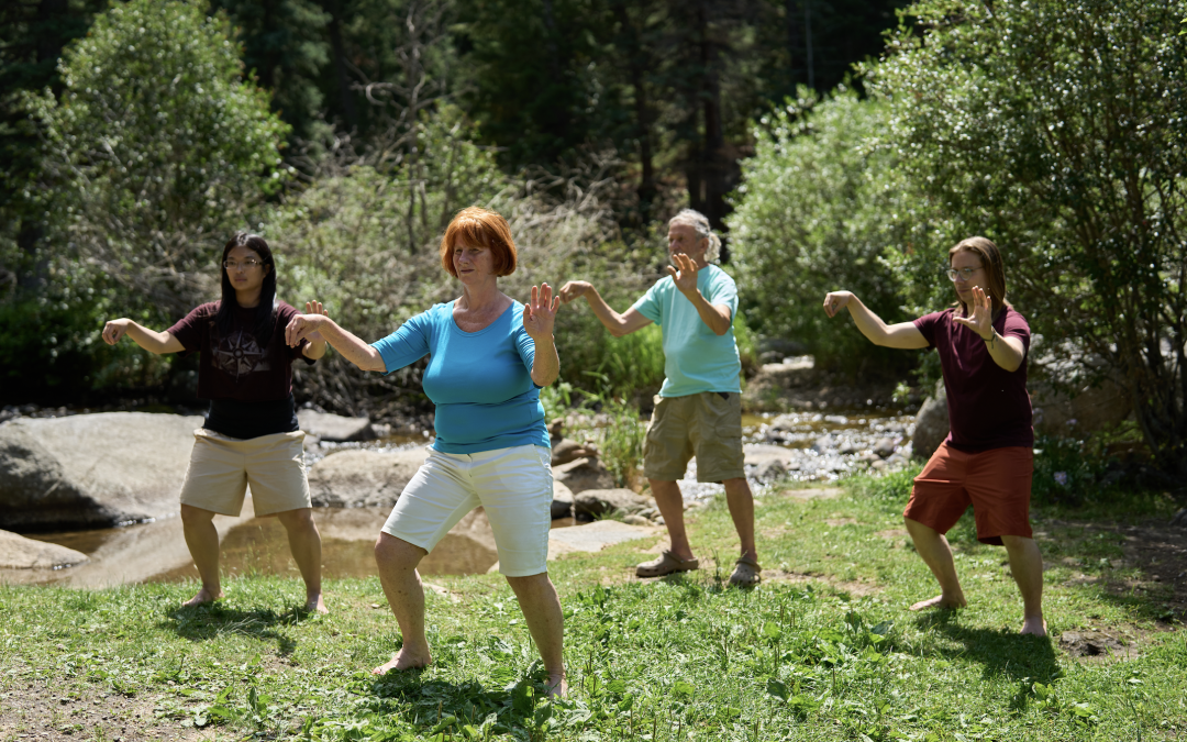 Seven Approaches to Tai Chi: The Different Purposes and Benefits of Tai Chi