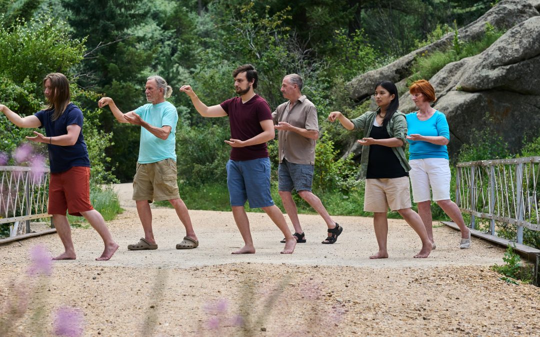 Dragon and Tiger Qigong Instructor Training
