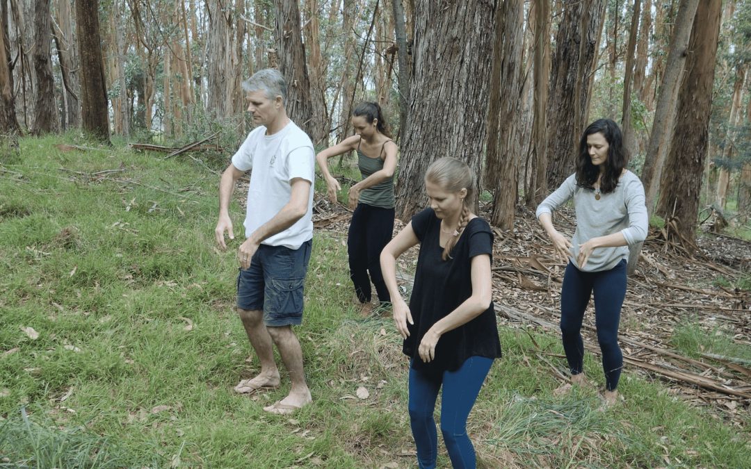 Heaven and Earth Instructor Training